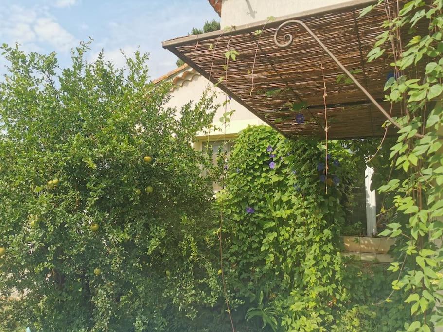 Maison Avec Piscine Dans Village Provencal. Courthézon Exteriör bild
